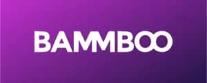 Logo Bammboo Amsterdam Growth Hackers