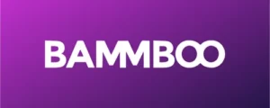 Logo Bammboo Amsterdam Growth Hackers